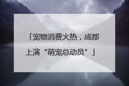 宠物消费火热，成都上演“萌宠总动员”