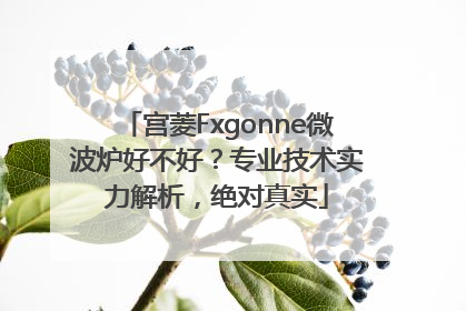 宫菱Fxgonne微波炉好不好？专业技术实力解析，绝对真实
