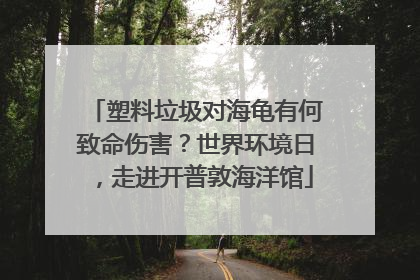 塑料垃圾对海龟有何致命伤害？世界环境日，走进开普敦海洋馆