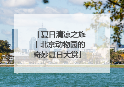 夏日清凉之旅丨北京动物园的奇妙夏日大赏