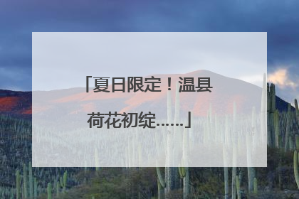夏日限定！温县荷花初绽……