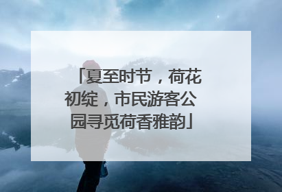 夏至时节，荷花初绽，市民游客公园寻觅荷香雅韵