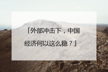 外部冲击下，中国经济何以这么稳？