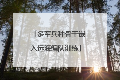 多军兵种骨干嵌入远海编队训练