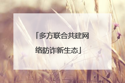 多方联合共建网络防诈新生态