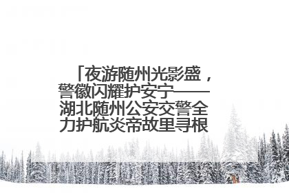 夜游随州光影盛，警徽闪耀护安宁——湖北随州公安交警全力护航炎帝故里寻根节夜游活动侧记