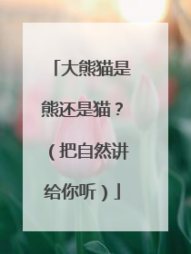 大熊猫是熊还是猫？（把自然讲给你听）