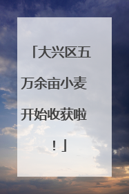 大兴区五万余亩小麦开始收获啦！