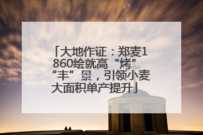 大地作证：郑麦1860绘就高“烤”“丰”景，引领小麦大面积单产提升