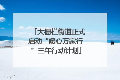 大栅栏街道正式启动“暖心万家行”三年行动计划