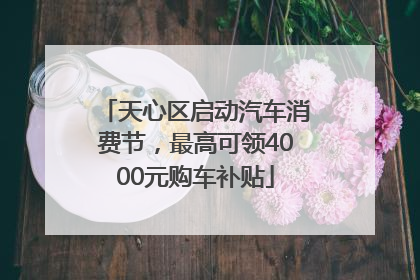 天心区启动汽车消费节，最高可领4000元购车补贴