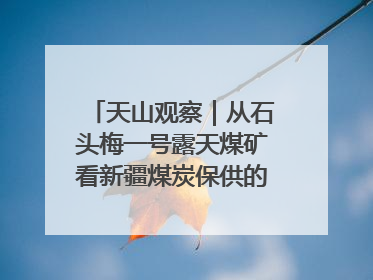 天山观察｜从石头梅一号露天煤矿看新疆煤炭保供的量与“智”