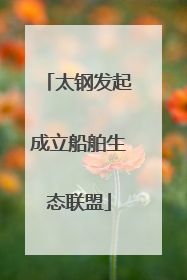 太钢发起成立船舶生态联盟