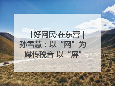 好网民·在东营｜孙雪慧：以“网”为媒传税音 以“屏”为介助发展