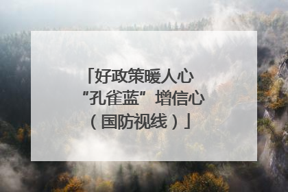 好政策暖人心 “孔雀蓝”增信心（国防视线）