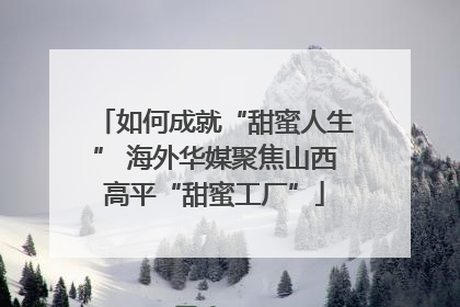 如何成就“甜蜜人生” 海外华媒聚焦山西高平“甜蜜工厂”