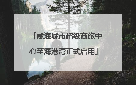 威海城市超级商旅中心至海港湾正式启用