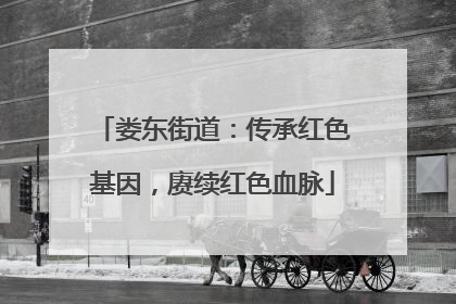 娄东街道：传承红色基因，赓续红色血脉
