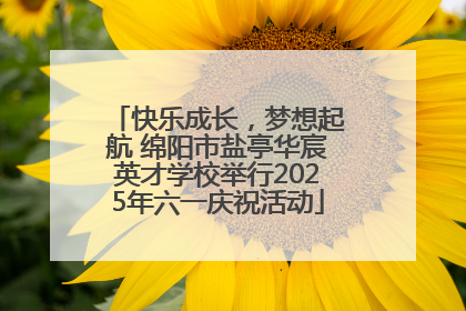 快乐成长，梦想起航 绵阳市盐亭华宸英才学校举行2025年六一庆祝活动