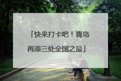 快来打卡吧！青岛再添三处全国之最