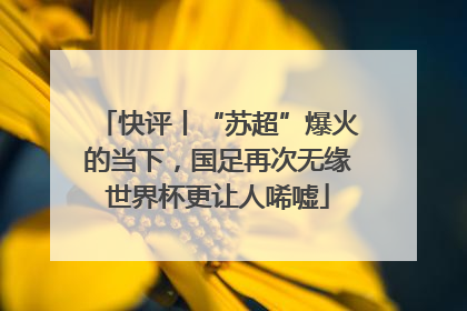 快评丨“苏超”爆火的当下，国足再次无缘世界杯更让人唏嘘