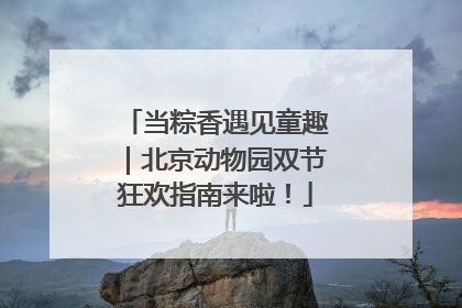 当粽香遇见童趣｜北京动物园双节狂欢指南来啦！