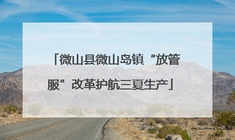 微山县微山岛镇“放管服”改革护航三夏生产