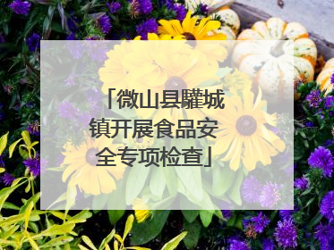 微山县驩城镇开展食品安全专项检查