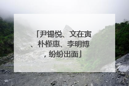 尹锡悦、文在寅、朴槿惠、李明博，纷纷出面