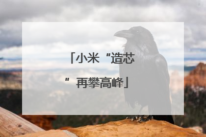 小米“造芯”再攀高峰