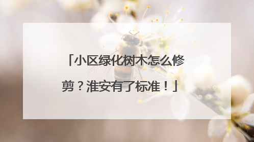 小区绿化树木怎么修剪？淮安有了标准！