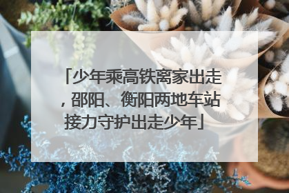 少年乘高铁离家出走，邵阳、衡阳两地车站接力守护出走少年