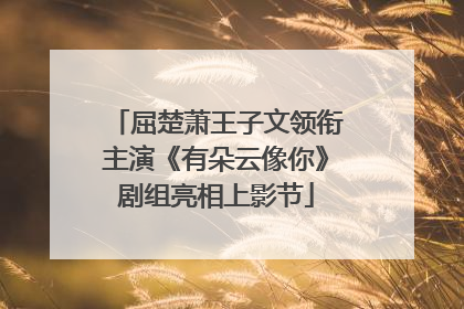 屈楚萧王子文领衔主演《有朵云像你》剧组亮相上影节
