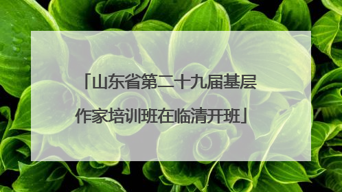 山东省第二十九届基层作家培训班在临清开班