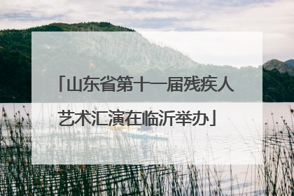 山东省第十一届残疾人艺术汇演在临沂举办