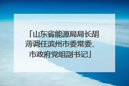 山东省能源局局长胡薄调任滨州市委常委、市政府党组副书记
