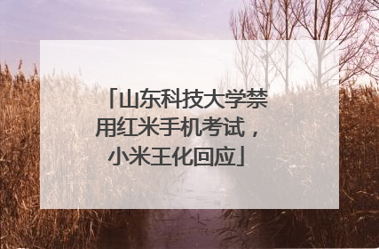 山东科技大学禁用红米手机考试，小米王化回应