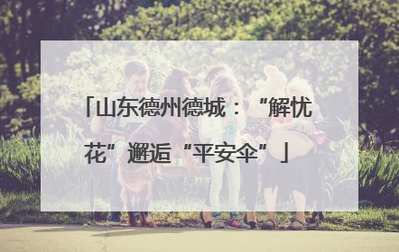 山东德州德城：“解忧花”邂逅“平安伞”