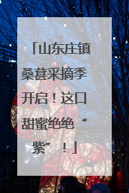 山东庄镇桑葚采摘季开启！这口甜蜜绝绝“紫”！