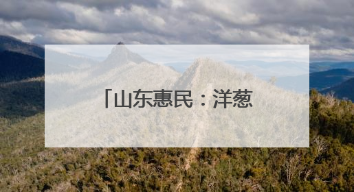 山东惠民：洋葱喜获丰收 鼓起农户“钱袋子”