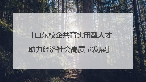 山东校企共育实用型人才 助力经济社会高质量发展