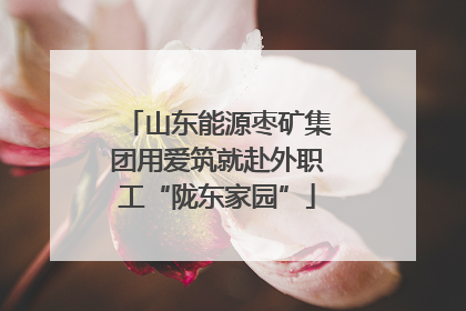 山东能源枣矿集团用爱筑就赴外职工“陇东家园”