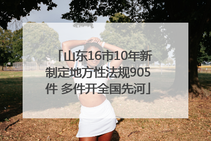 山东16市10年新制定地方性法规905件 多件开全国先河