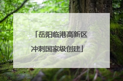 岳阳临港高新区冲刺国家级创建