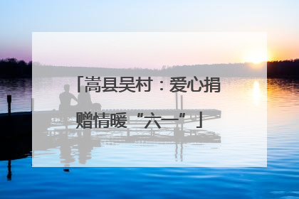 嵩县吴村：爱心捐赠情暖“六一”