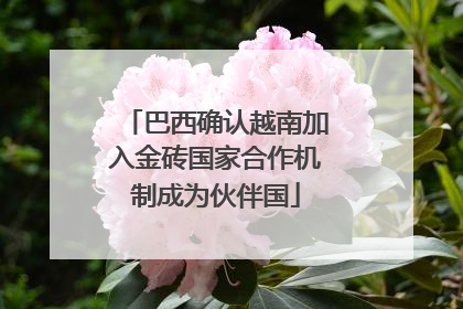 巴西确认越南加入金砖国家合作机制成为伙伴国