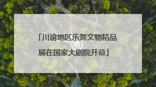 川渝地区乐舞文物精品展在国家大剧院开幕