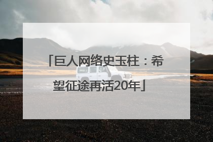 巨人网络史玉柱：希望征途再活20年