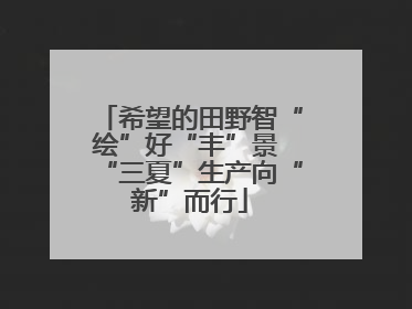 希望的田野智“绘”好“丰”景 “三夏”生产向“新”而行