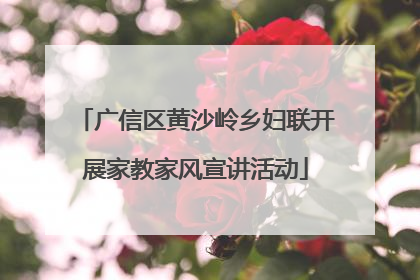 广信区黄沙岭乡妇联开展家教家风宣讲活动